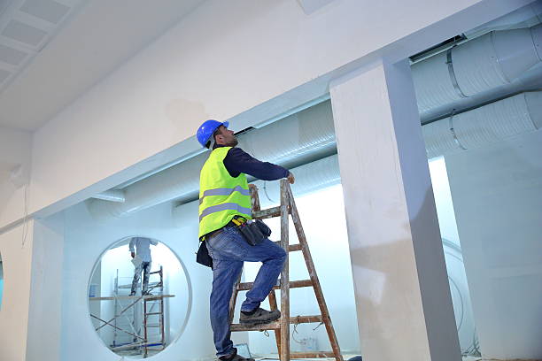 Best Air Quality Testing for Mold Spores  in Lakeview, OH